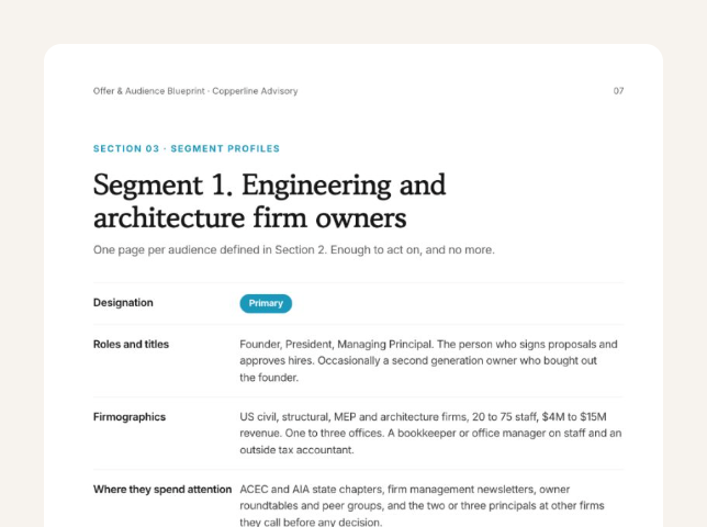 Offer & Audience Blueprint - Segment Profiles